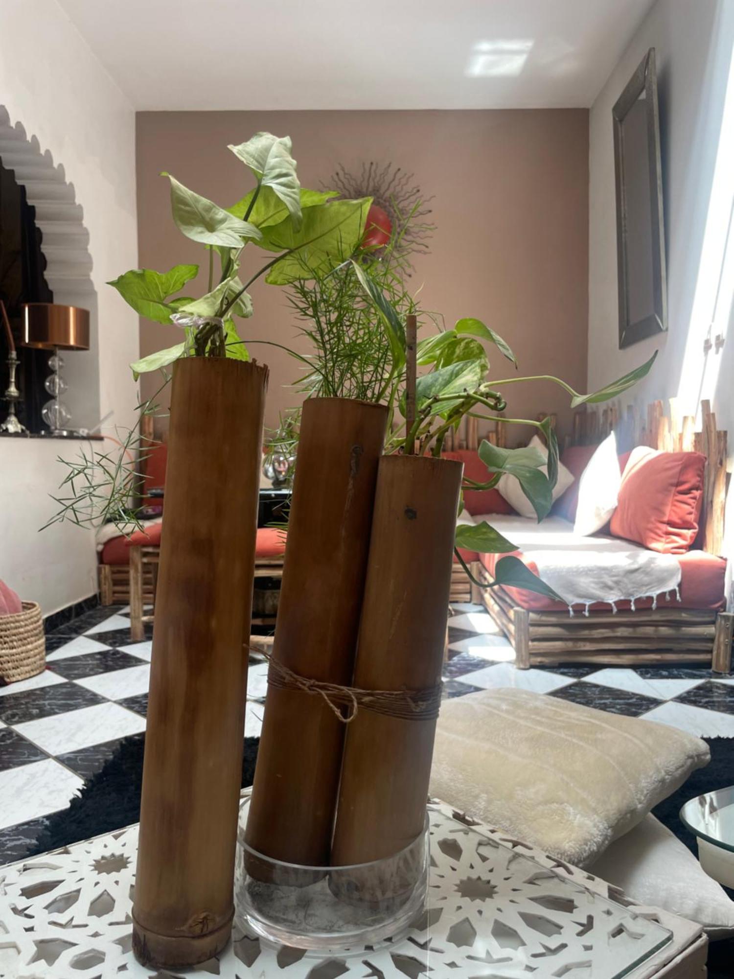 Riad Palmier Fleuri Marrakesh Exteriör bild